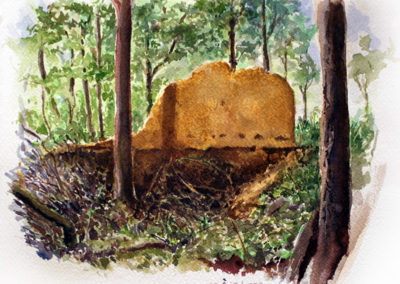 Ruine dans les bois (Fraisses, 42) aquarelle sur le motif